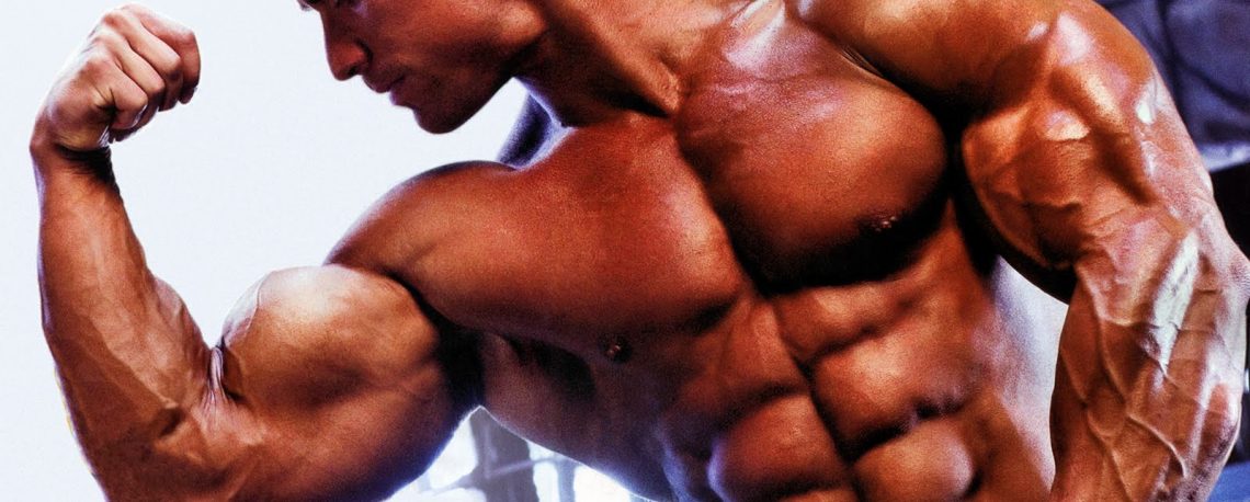 bodybuilding-univers-muscle: Bodybuilding Basics 101 ...